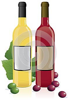 Red & White Wine Bottles