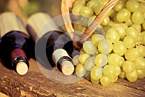 Red and white wine bottles and bunch of grapes