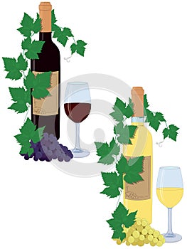 Red and white wine bottles and glasses compositions with grape vines and bunch of grapes illustration