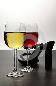 Red and white wine with shoe