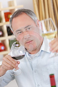 red and white wine tasting experience