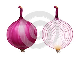 Red whole and half of onion. Useful vegetable