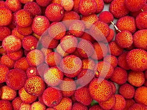 Red wild berries displayed in medina souks in Morocco