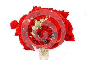 Red wild flowers of Papaver rhoeas in a transparent vase close up