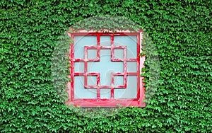 Red window in green leaves