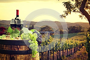 Red wine with barrel on vineyard in green Tuscany