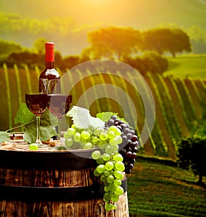 Red wine with barrel on vineyard in green Tuscany,