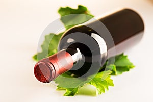 Red wine bottle with autumn vine leaves