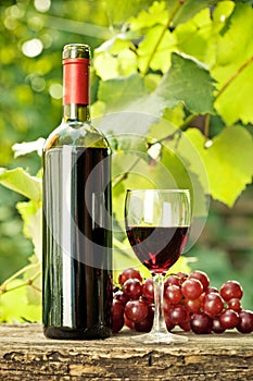 Red wine bottle, glass and bunch of grapes
