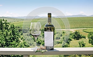 Red wine bottle, grape vine, glass and cork