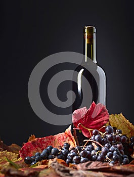 Red wine bottle , grapes and dry vine leaves .