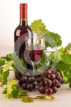 Red wine bottle with green vine leaves, grapes and a glass full of wine