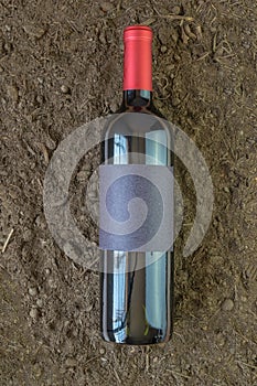 Red Wine bottle mockup in fertile vineyard land