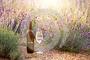 Red wine bottle and wine glass on the ground. Bottle of wine against lavender landscape. Sunset over a summer lavender