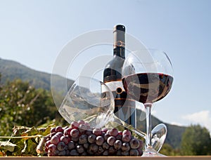 Red wine bottle with wineglass