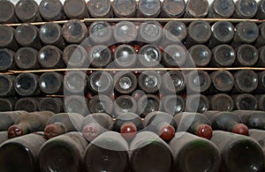 Red wine bottles in a cellar