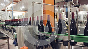 Red wine bottles on a conveyor belt in a wine bottling factory.