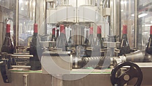 Red wine bottles on a conveyor belt in a wine bottling factory.