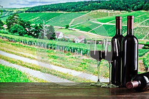 Red wine in bottles and glasses in the vineyard background. Winemaking concept