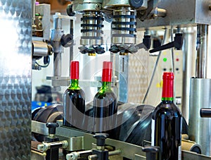 Red wine in bottling machine at winery