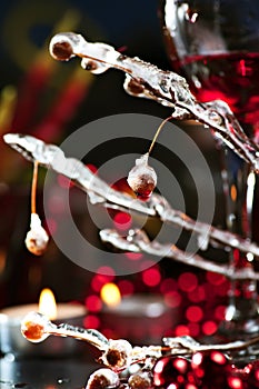 Red wine and branch with ice