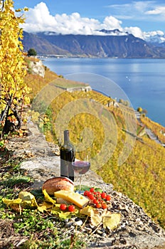 Red wine, cheese, bread and cherry tomatos. Lavaux, Switzerland