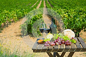 Red wine, cheese, bread and grapes on background with vineyard