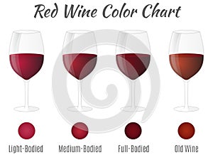 Red wine color chart. Hand drawn wine glasses.