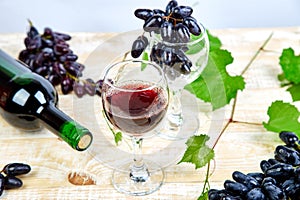 Red wine concept with bottle, glass and grapes