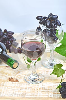 Red wine concept with bottle, glass and grapes