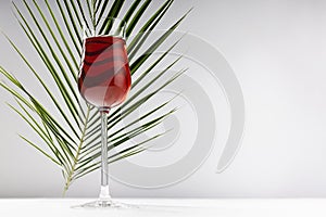 Red wine in exquisite glass in sunlight with striped curved green palm leaf with shadows in soft light white abstract interior.