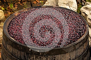 Red wine fermentation in process in a wooden vessel