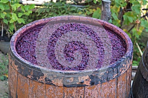 Red wine that ferments in a wooden barrel - in the process of making wine concept photo