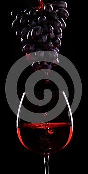Red wine flow from a cluster of grapes to the glass of wine.Black background.Red wine.Advertising shot