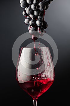 Red wine flows down the grape cluster into the glass