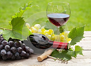 Red wine glass and bottle with bunch of grapes