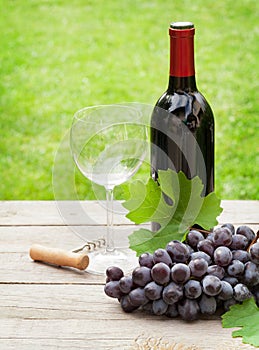 Red wine glass and bottle with bunch of grapes