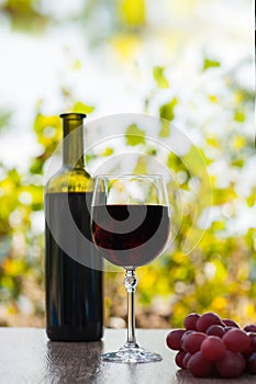 Red wine glass and bottle on wood surface with red grapes