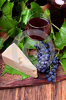 Red wine in a glass, a bunch of blue Isabella grapes and a piece of Maasdam cheese