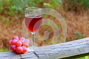 Red wine glass and bunch of grapes on wooden table