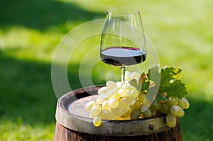 Red wine glass and grape on barrel