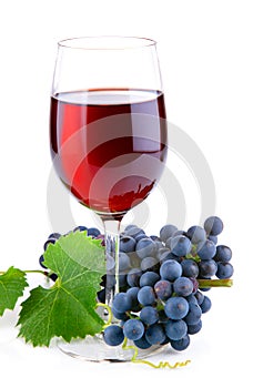 Red wine in glass with grapes