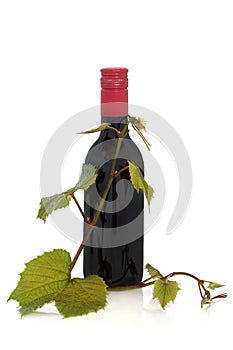 Red Wine and Grape Leaves