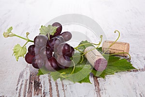 Red wine grape still life.