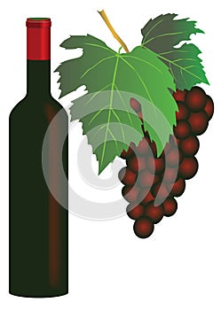 Red wine and grapes