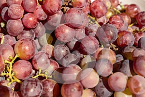 Red wine grapes background