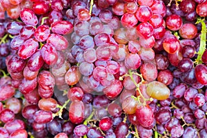 Red wine grapes background