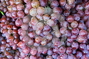 A red wine grapes background