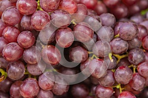 Red wine grapes background in the market.