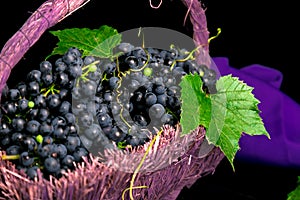 Red wine grapes in voiolet basket on bllack background.